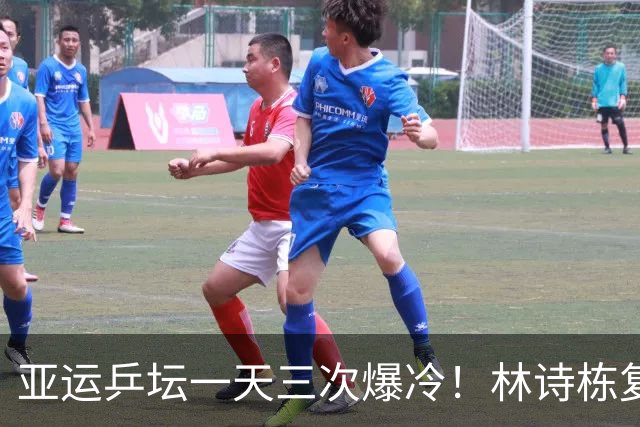 亚运乒坛一天三次爆冷！林诗栋复仇松岛、莎头丢冠、张本最辛酸