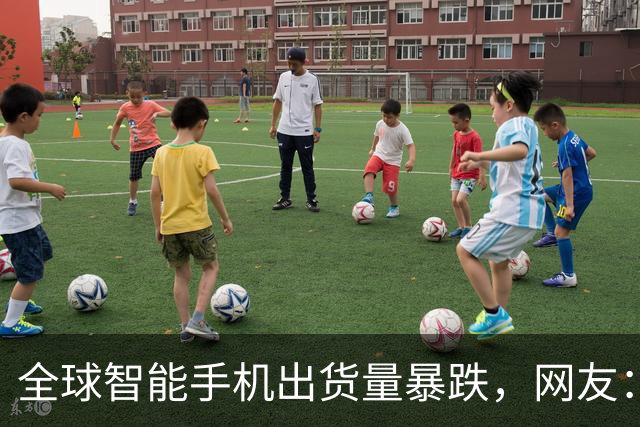 全球智能手机出货量暴跌，网友：你接着涨价啊，你涨500我就省5000