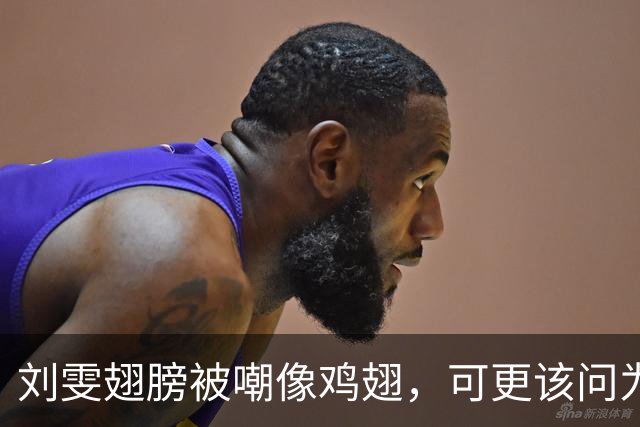 刘雯翅膀被嘲像鸡翅，可更该问为何十年仅两副？