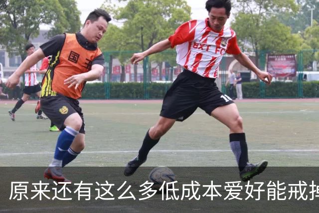 原来还有这么多低成本爱好能戒掉手机，网友：生活质量提高一大截