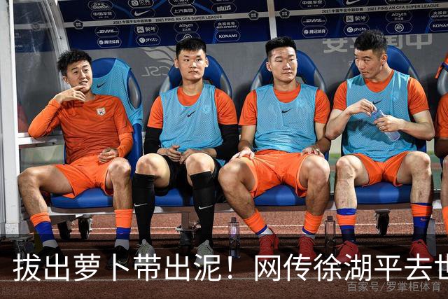 拔出萝卜带出泥！网传徐湖平去世，竟再次将南京博物院牵扯出来