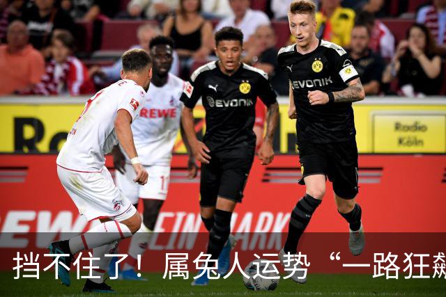 挡不住了！属兔人运势“一路狂飙”，三天后，全家都要乐开花！