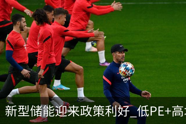 新型储能迎来政策利好 低PE+高增长潜力股出炉