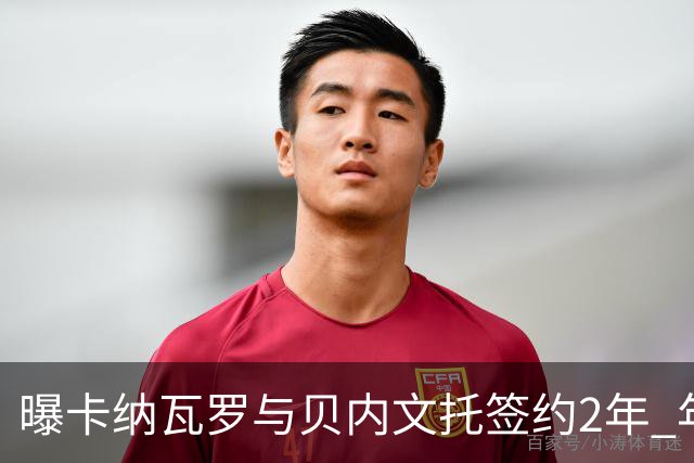 曝卡纳瓦罗与贝内文托签约2年 年薪100万欧