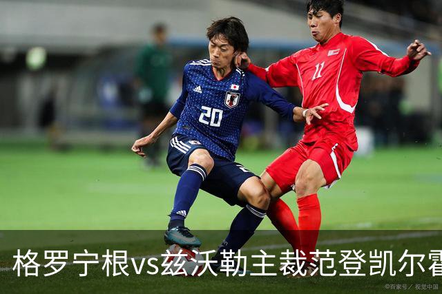 格罗宁根vs兹沃勒主裁范登凯尔霍夫数据：近20场46黄2红5点
