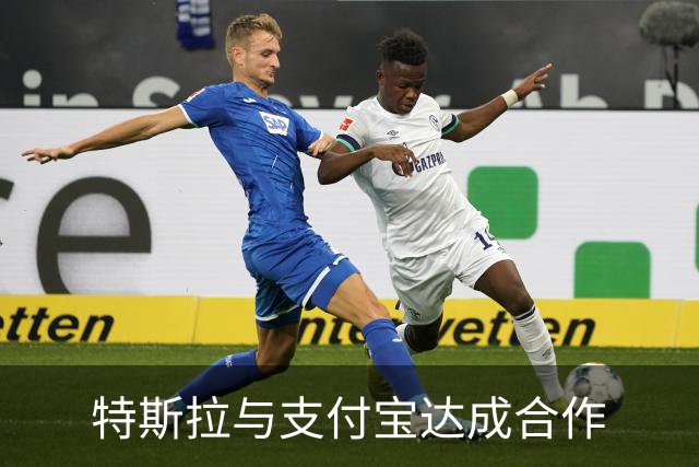 特斯拉与支付宝达成合作
