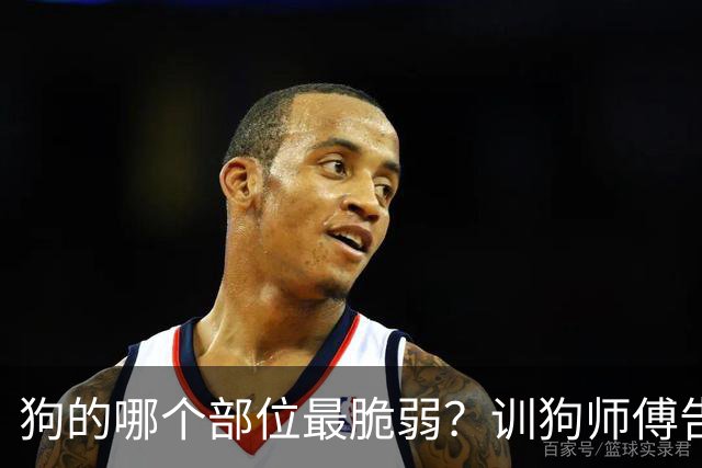 狗的哪个部位最脆弱？训狗师傅告诉你：遇到恶犬扑来，千万别用脚踢，那样会让疯狗越咬越狠，记住以下几点，三两招就能制服疯狗！