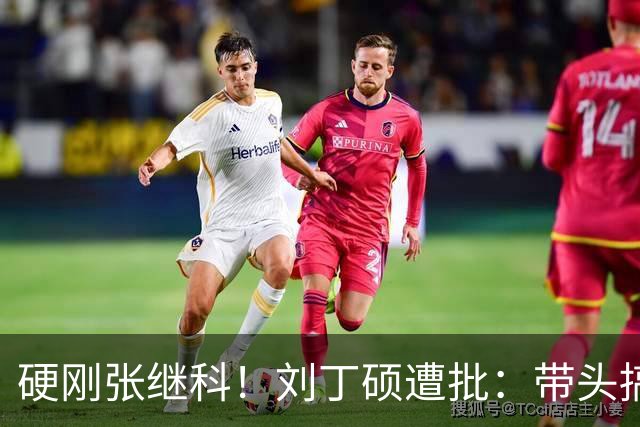 硬刚张继科！刘丁硕遭批：带头搞饭圈拉踩站队 公然与体育总局作对
