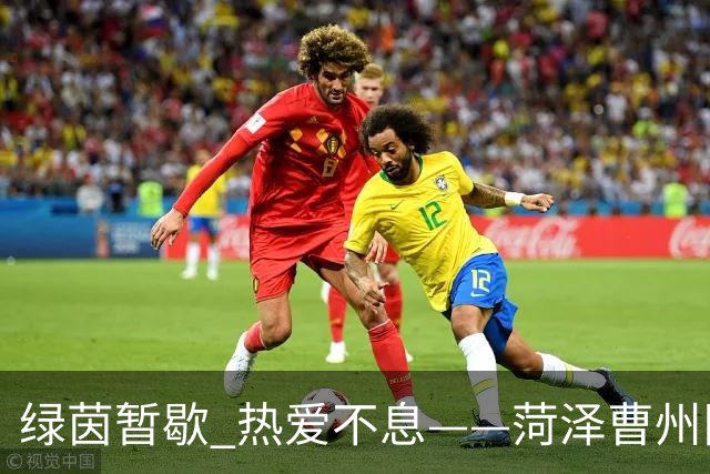 绿茵暂歇 热爱不息——菏泽曹州队无缘八强，一城一队守望继续