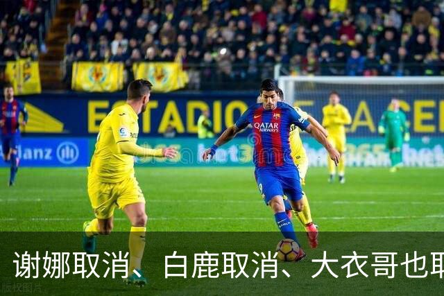 谢娜取消、白鹿取消、大衣哥也取消！只因他们踩了中国人3大雷区