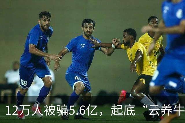 12万人被骗5.6亿，起底“云养牛”骗局